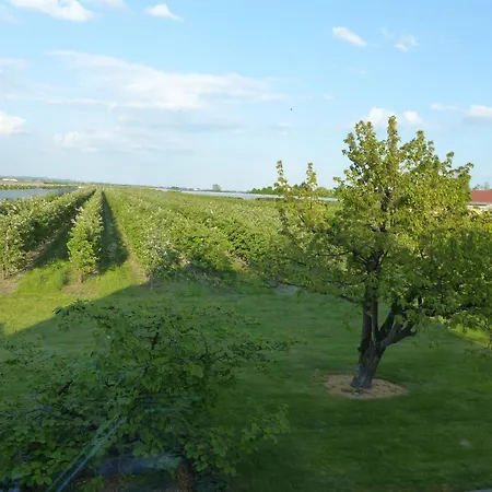 Haus Somfleth Appartement